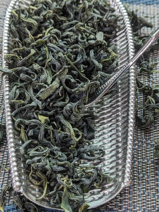 duyun maojian hign gao shan green tea from guizhou