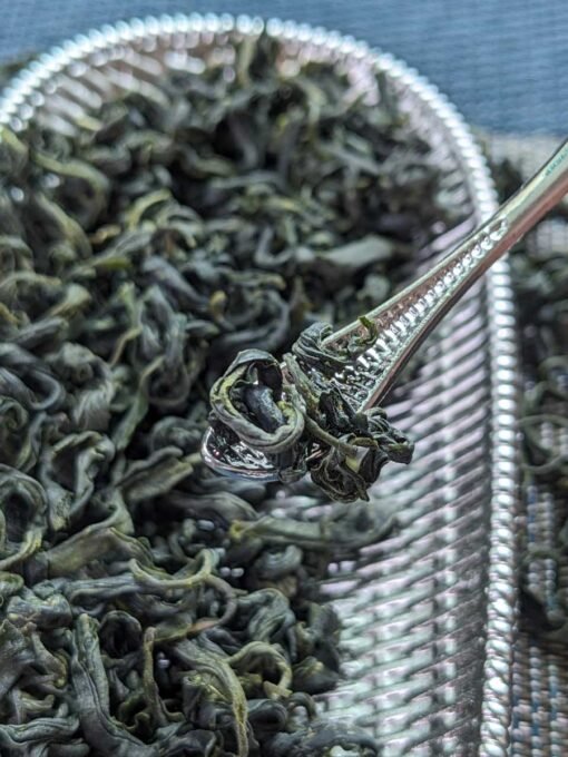 duyun maojian hign gao shan green tea from guizhou