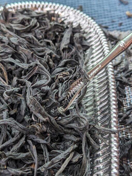 lapsang souchong black tea