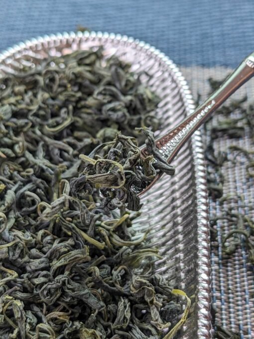 tender spring buds of pre ming rizhao green tea from shandong