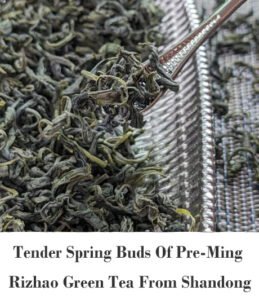 duyun maojian hign gao shan green tea from guizhou
